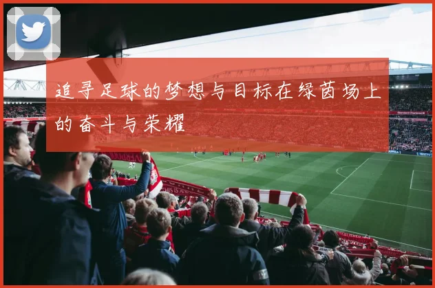 追寻足球的梦想与目标在绿茵场上的奋斗与荣耀