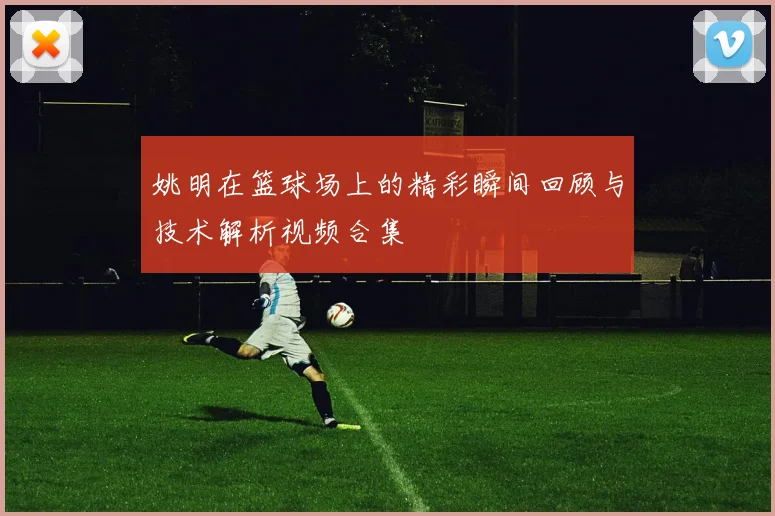 姚明在篮球场上的精彩瞬间回顾与技术解析视频合集