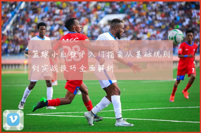 篮球小白教学入门指南从基础规则到实战技巧全面解析
