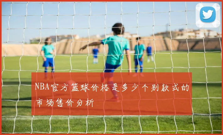 NBA官方篮球价格是多少个别款式的市场售价分析