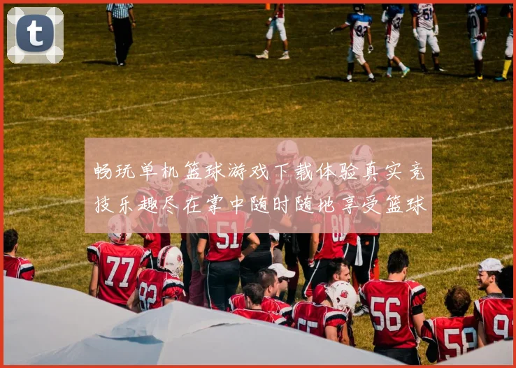 畅玩单机篮球游戏下载体验真实竞技乐趣尽在掌中随时随地享受篮球盛宴