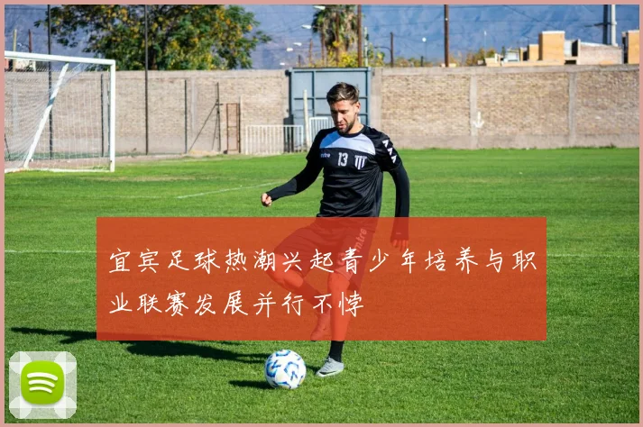 宜宾足球热潮兴起青少年培养与职业联赛发展并行不悖